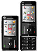  ZN300