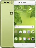  P10
