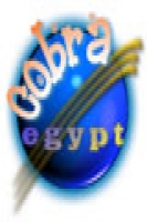 cobraegypt