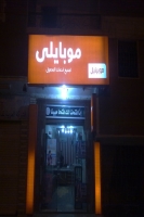 صقر الوادى