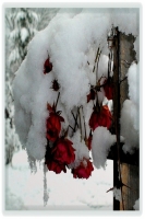 doda_beautiful