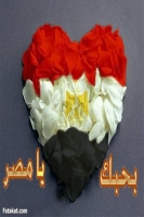 مصطفى على