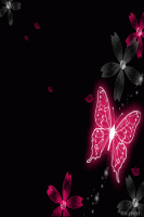 BEBO3