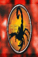 BlackScorpion80