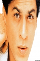 GoubaTiger