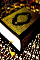 MohammedAlaadin