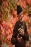 abdel7ai