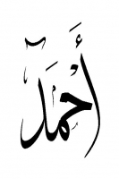 ak_rizk