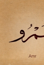 amrelsheshtawy85