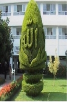 ashrafmbn