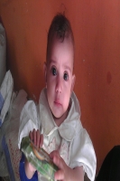 assemtawfik