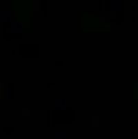 dmohamed