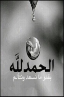 doaahany