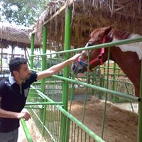 elmesry