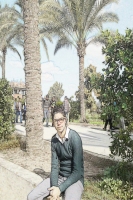 falconhossam