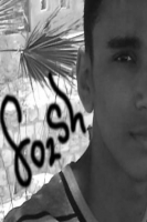 foaaditm2010