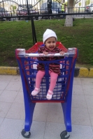ghazala2014
