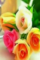 goodwishes