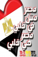 harbyhamdy