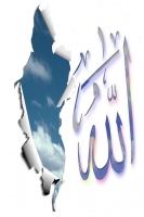 kareemkiki