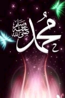 mahmoudelmahdy93