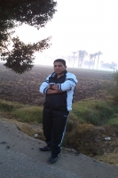 mahmoudshedeed1979