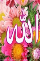 marmar_55555