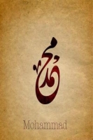 medoALmasry
