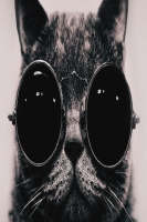 mesh06