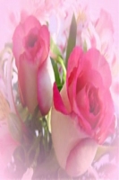 mhany456