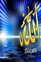 mohamed43