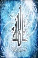 mohamedhafiz