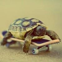 omarggg