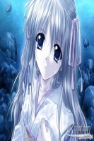 rooka1
