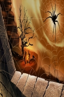 spider1w