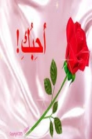taha.shalan